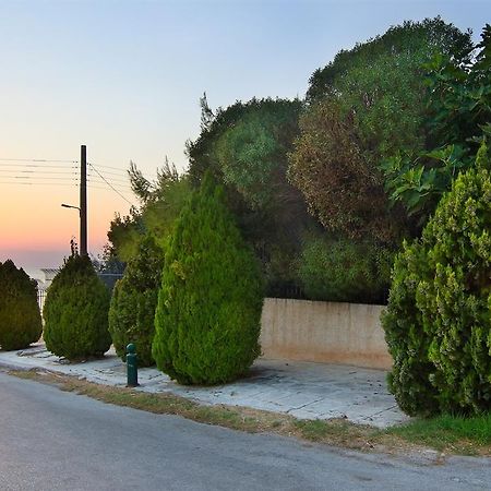 Luxury Villa Sea Melody Palaiá Fókaia Dış mekan fotoğraf